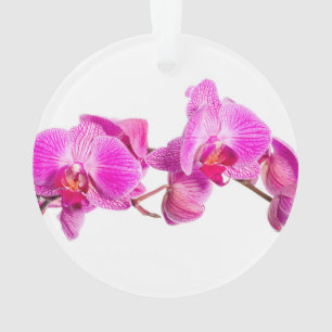 Adorno Orquídea