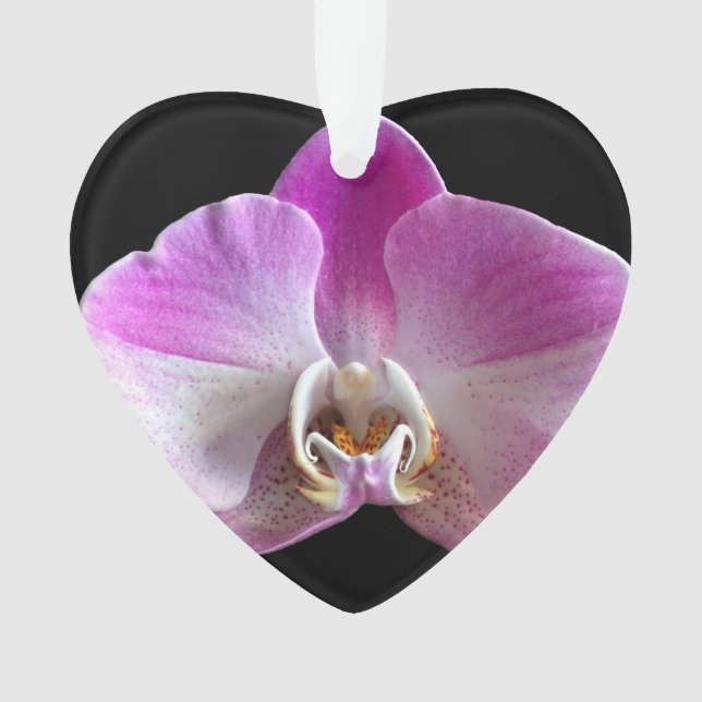 Adorno Orquídea morada y blanca (Anverso)
