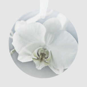 Adorno Orquídea Phalaenopsis Blanca