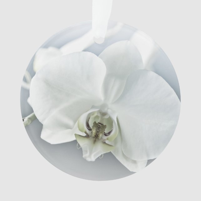 Adorno Orquídea Phalaenopsis Blanca (Anverso)
