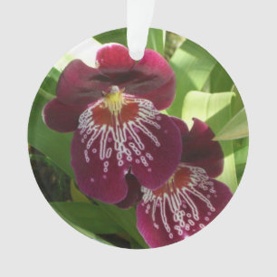 Adorno Orquídeas de Marrón II Elegante Floral