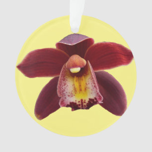 Adorno Orquídeas Maroon I Hermosa Floral Roja