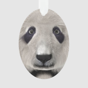 Adorno Oso Panda Lindo Kawaii Regalo Perfecto para Amante