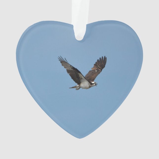 Adorno Osprey de deslizamiento (Reverso)