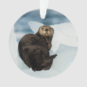 Adorno Otter marino de reposo