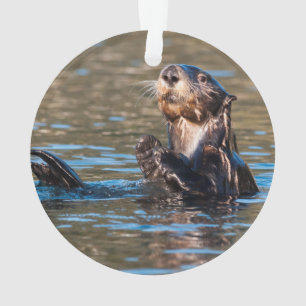 Adorno Otter marino Sunny