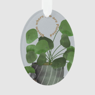 Adorno Oval Acrílico de Planta del Dinero Minimali