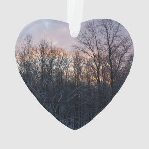 Adorno Paisaje de la Naturaleza del Sol Invierno I Pastel