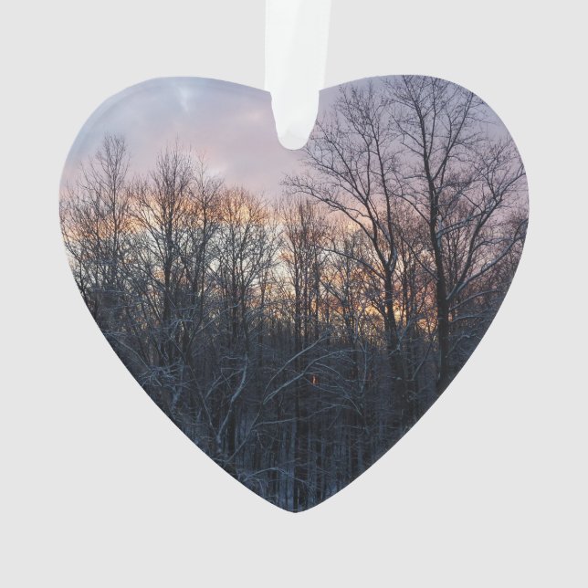 Adorno Paisaje de la Naturaleza del Sol Invierno I Pastel (Reverso)