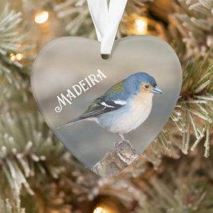 Adorno Pájaro azul Pinzón de Madeira (Fringilla maderensi