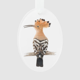 Adorno Pájaro de hoopota