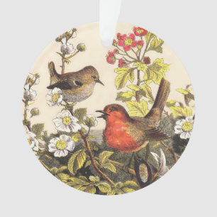 Adorno Pájaros Cantores Robin Botánico Floral Vintage