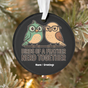 Adorno Pájaros de una Pluma Nerd Juntos Divertido Geek Pá