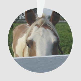 Adorno Palomino de Peek a Boo detrás de la cerca