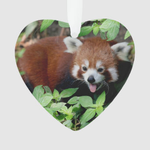 Adorno Panda roja traviesa, personalizable