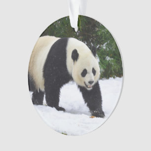 Adorno Pandas gigantes de Smithsonian el   en la nieve