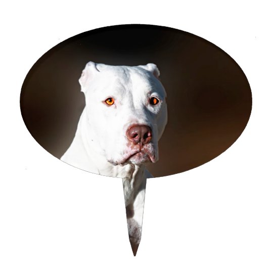 Adorno Para Tarta Perro Blanco Del Rescate De Pitbull Terrier Del Zazzle Es