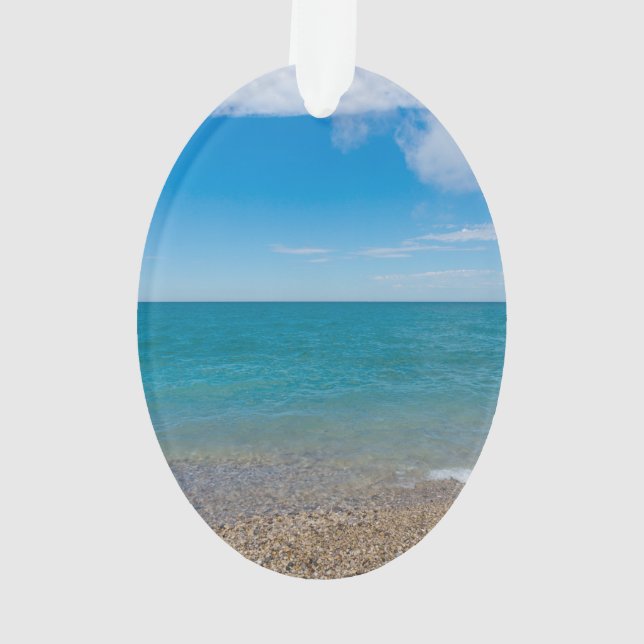 Adorno Paraíso Azul En El Lago Michigan (Reverso)