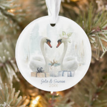 Pareja de cisne de invierno acuarela