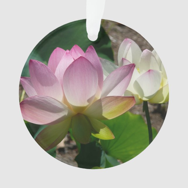Adorno Pareja de flores de Lotus I (Anverso)