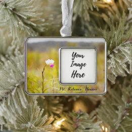 Adorno Parque nacional de los volcanes de Mt. Kilauea