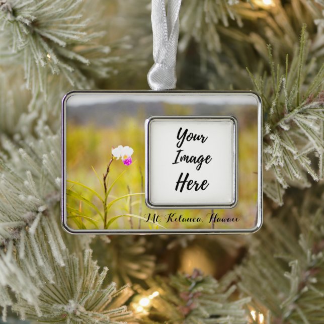 Adorno Parque nacional de los volcanes de Mt. Kilauea (Árbol)