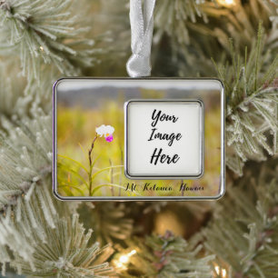 Adorno Parque nacional Hawaii de los volcanes del Mt.