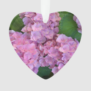 Adorno Pastel rosa Hortensia hidrangea flor