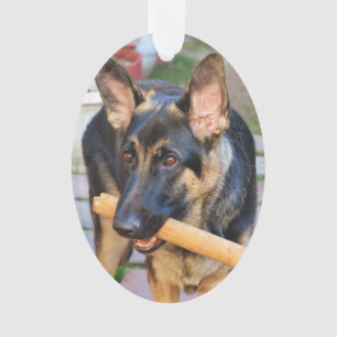 Adorno Pastor alemán de Shirley Taylor