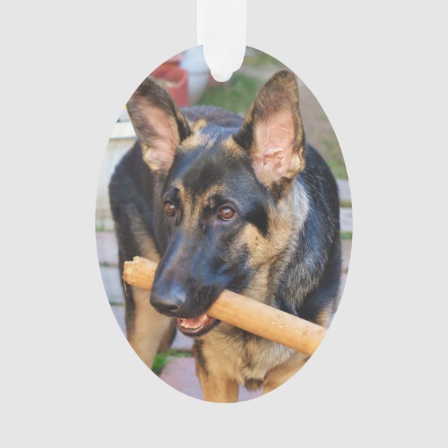 Adorno Pastor alemán por Shirley Taylor (Anverso)