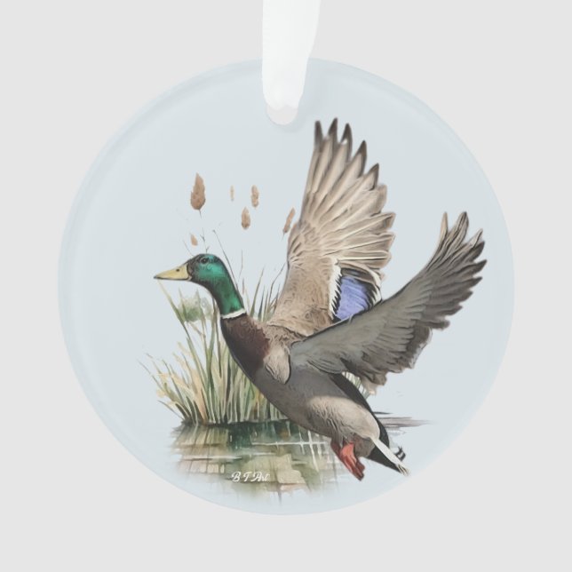 Adorno Pato (Anverso)