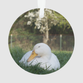 Adorno Pato de aplauso