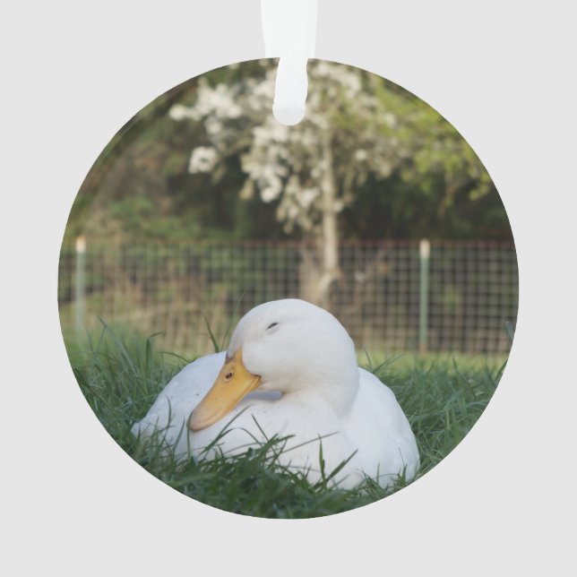 Adorno Pato de aplauso (Reverso)