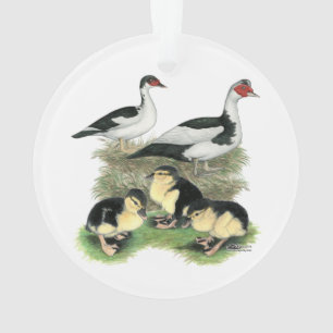 Adorno Patos Muscovy de Patas Negras Familia