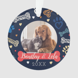 Adorno Patrón de impresión y huesos   Foto de Mascota ani