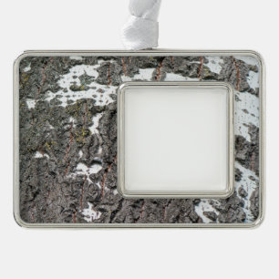 Adorno Patrón de la corteza de Birch