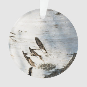 Adorno Patrón de la corteza de Birch