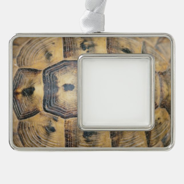 Adorno Patrón de shell de tortuga (Anverso)