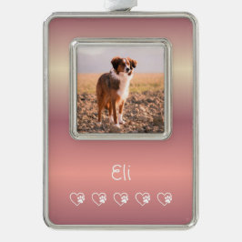 Adorno Peach Pet Photo Ornament - Framed, Holiday 
