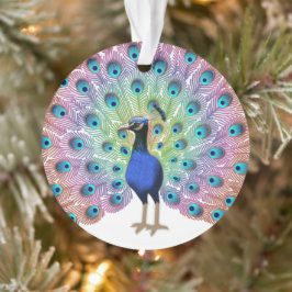Adorno Peacock colorido
