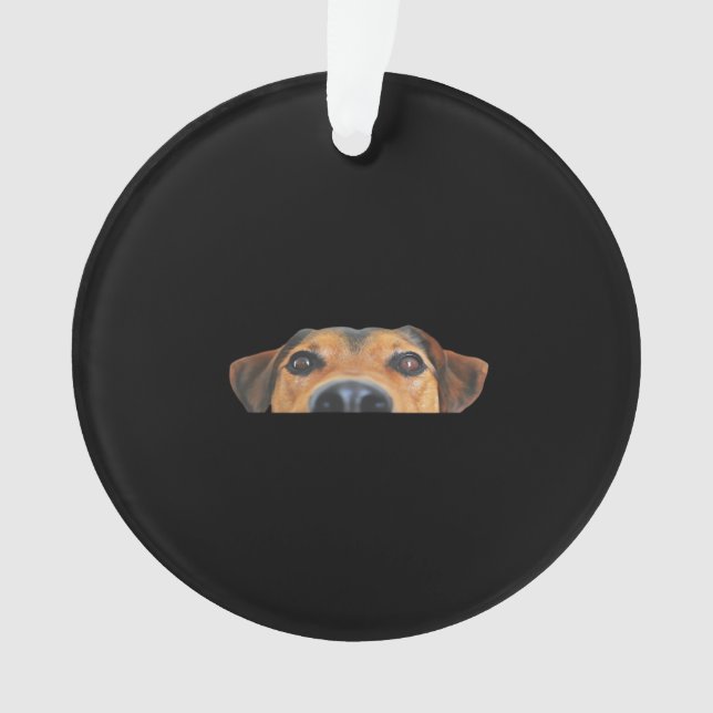 Adorno Peekaboo Dog (Anverso)