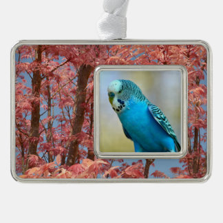 Adorno Pegatina cuadrado con tarjeta postal azul perdida