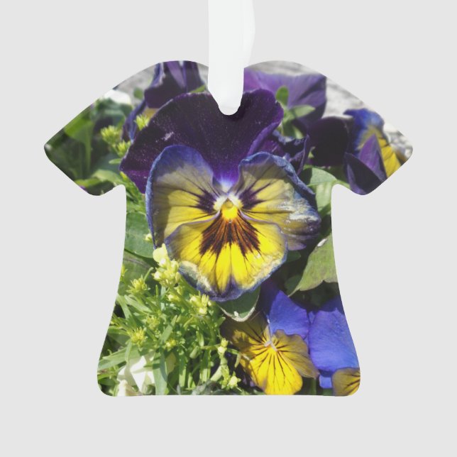 ADORNO PENSAMIENTOS! (Anverso)