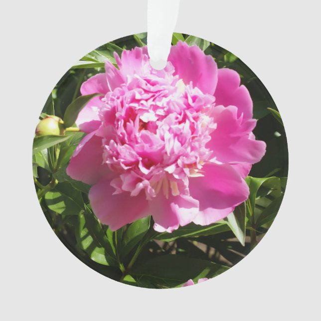 Adorno peonías rosadas oscuras (Anverso)