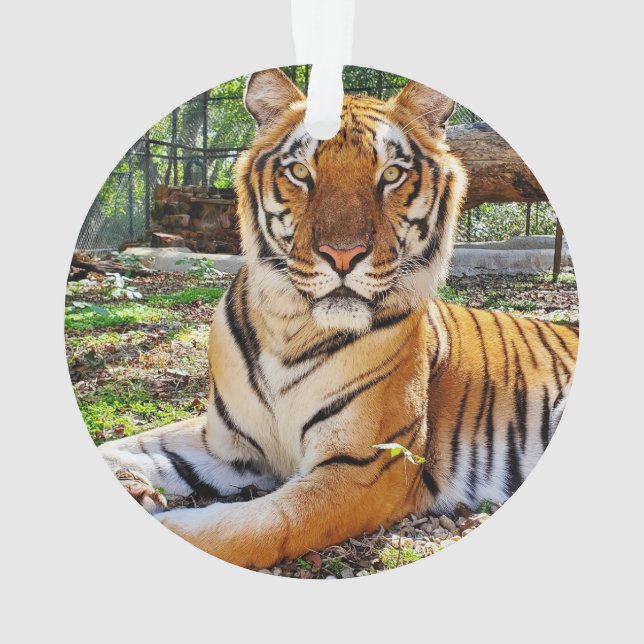 Adorno Pepsi - (Reverso)