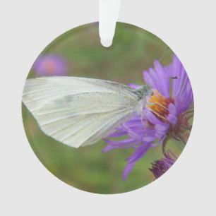Adorno Pequeña mariposa del blanco de col