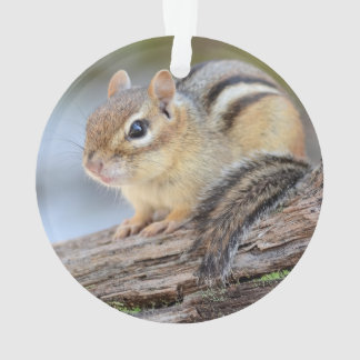 Adorno Pequeño Chipmunk simplemente adorable