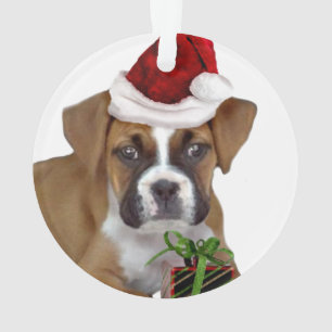 Adorno Perrito del boxeador del navidad