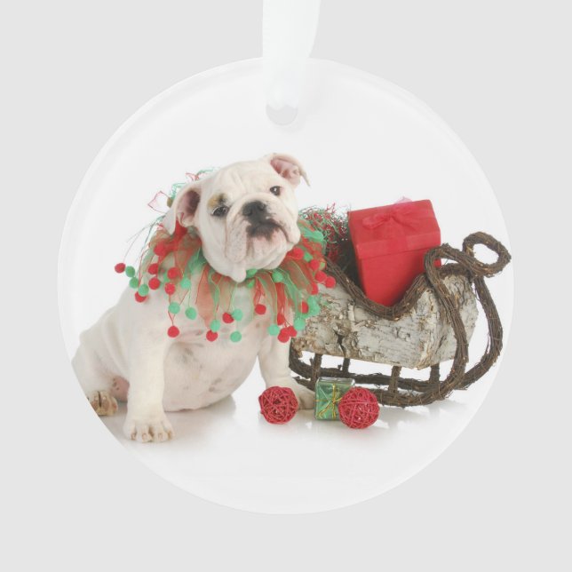 Adorno Perrito del navidad - sentada inglesa del perrito (Anverso)