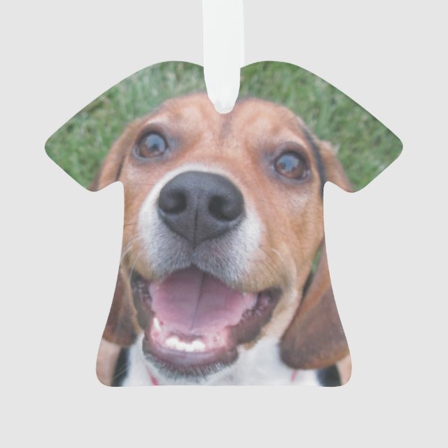 Adorno Perrito sonriente del beagle (Reverso)